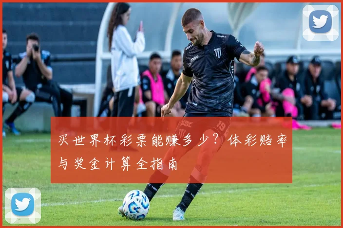买世界杯彩票能赚多少？体彩赔率与奖金计算全指南