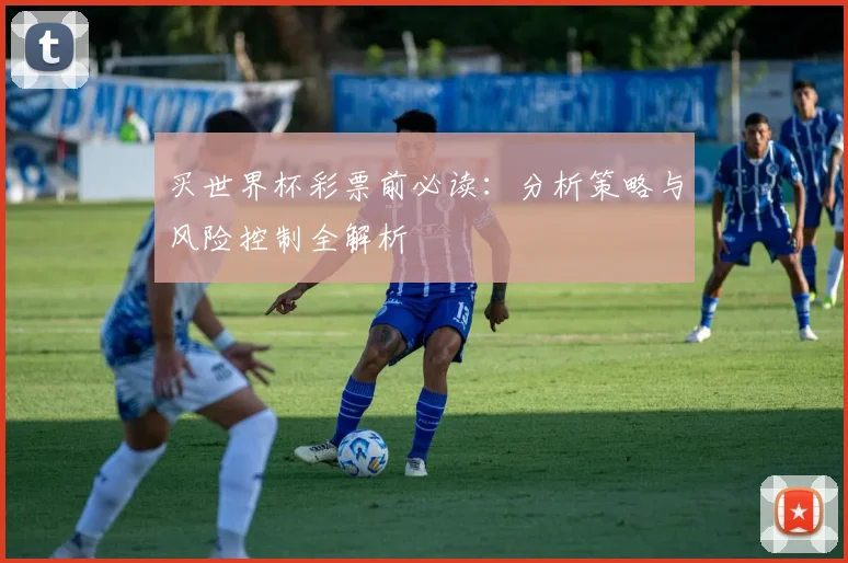 买世界杯彩票前必读：分析策略与风险控制全解析