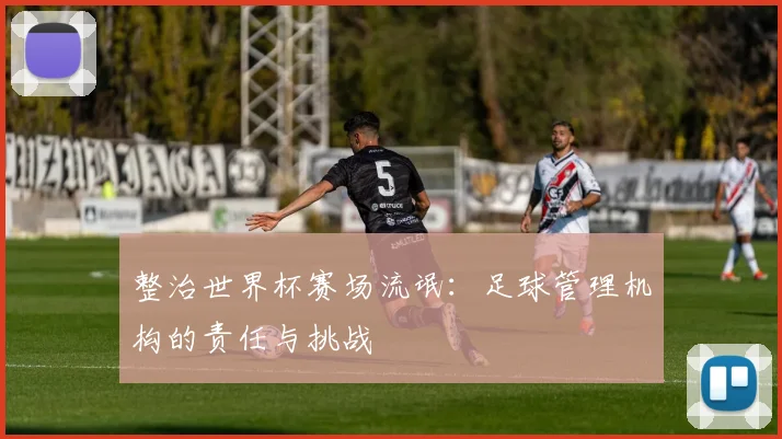 整治世界杯赛场流氓：足球管理机构的责任与挑战
