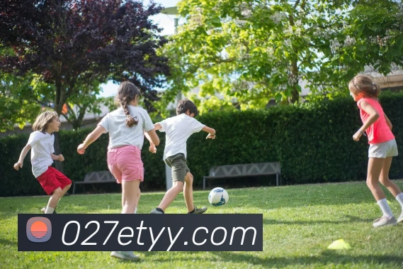 奖项证书